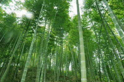 山東優(yōu)儀測控設備有限公司成立